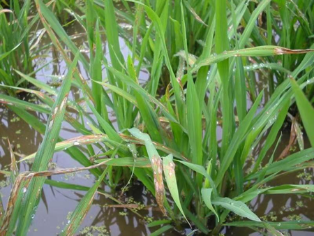 1638509003652717.png 1.png