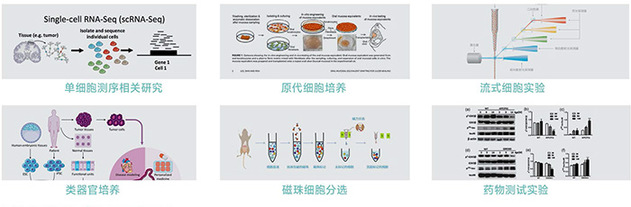 1769505737157988.jpg JX-CKSW系列產(chǎn)品應用-700.jpg